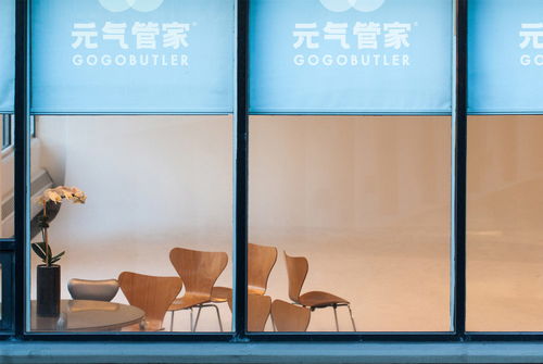 元氣感 家政服務(wù)品牌vi設(shè)計