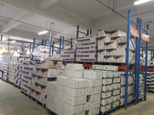 責任民企攜手政府服務，助力泰安抗疫與復工復產(chǎn)