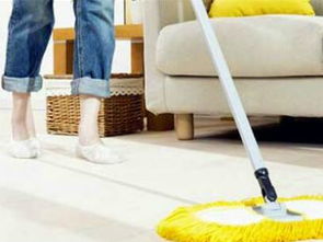 菲式管家家政加盟人氣解析 專業服務與市場潛力并存